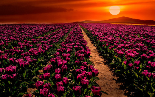950649 (a): :2880x1800